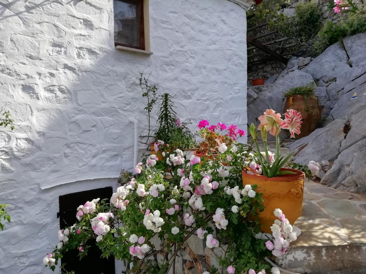 Arbeli House Villa Mandraki  Eksteriør billede